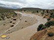 میزان بارندگی در شهرستانهای نی‌ریز و بختگان
