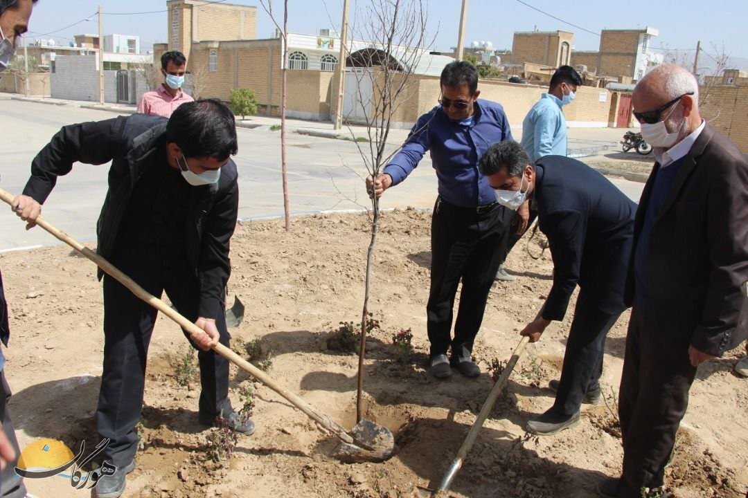 کاشت ۲۲۰۰ اصله نهال و ۷۰۰۰ بوته گل توسط شهرداری نی ریز