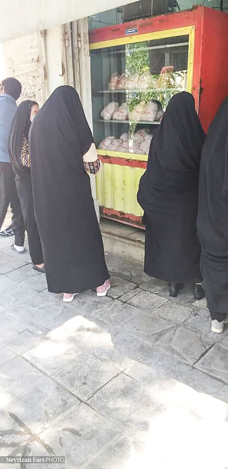 مرغ روی کانال 32