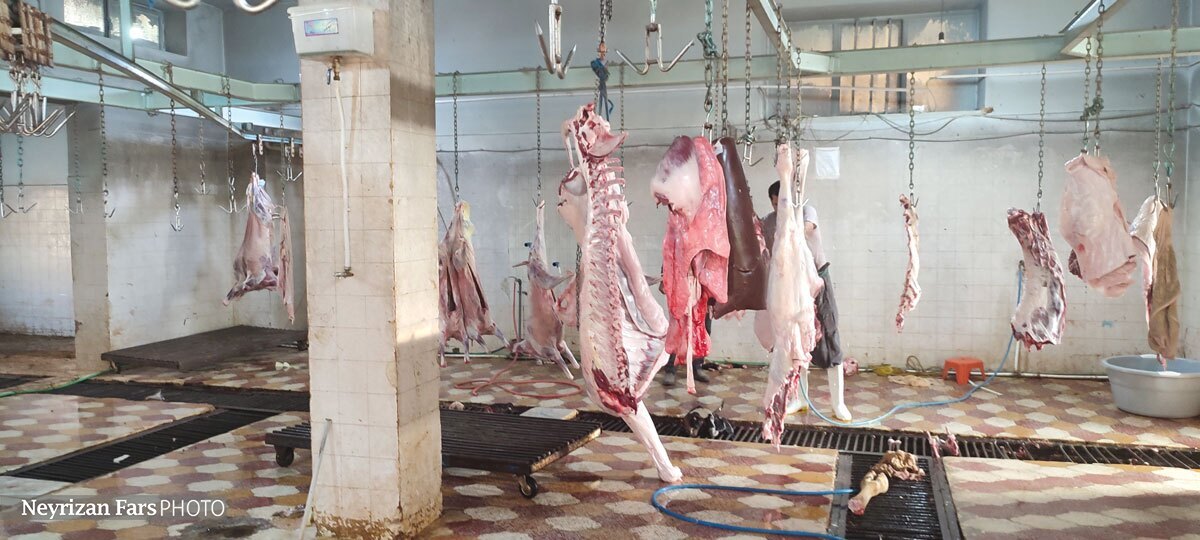 کشتارگاه بی&zwnj;صاحب است