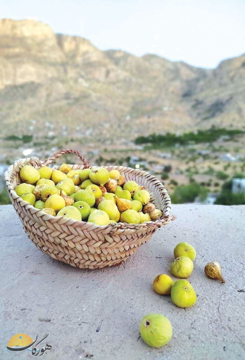 خسارت ۱۲۶ &nbsp;میلیاردی انجیرستان&zwnj;های نی&zwnj;ریز