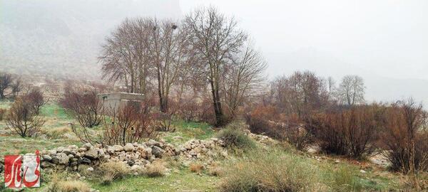 بارندگی کم‌نظیر در اسفندماه/ پلنگان
