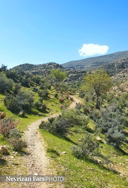 طبیعت را پاس داریم