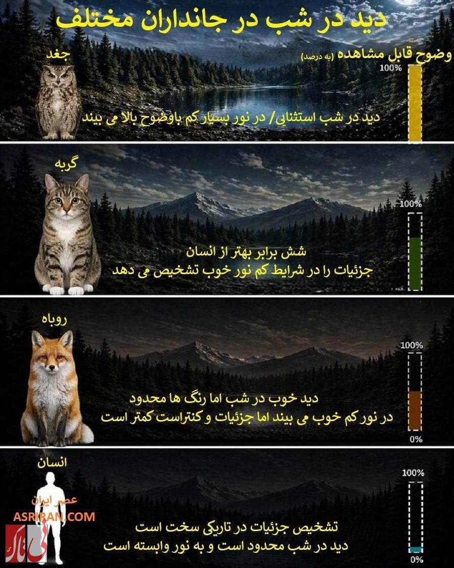 وقتی انسانیک بازنده است