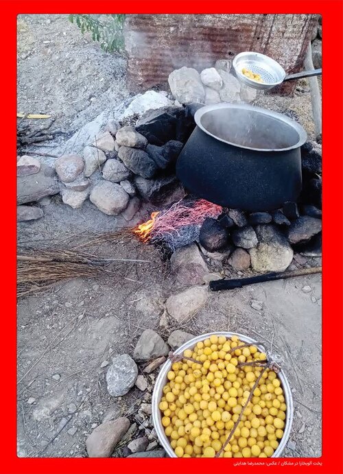 صفحه آخر
