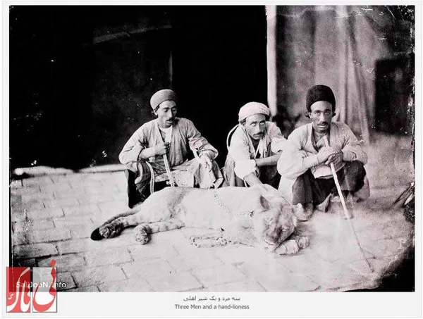 سه مرد و یک شیر اهلی