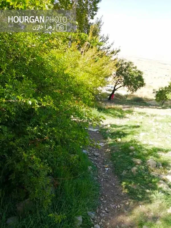 نی ریز زیبا