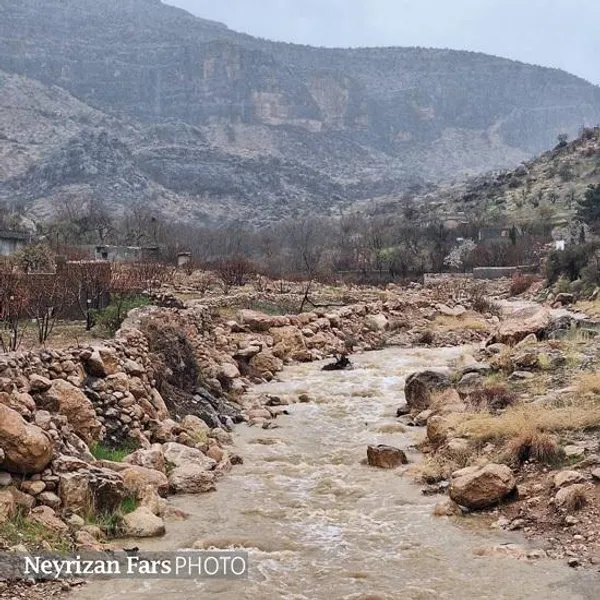 رودخانه پلنگان / سعید سیف&zwnj;آبادی