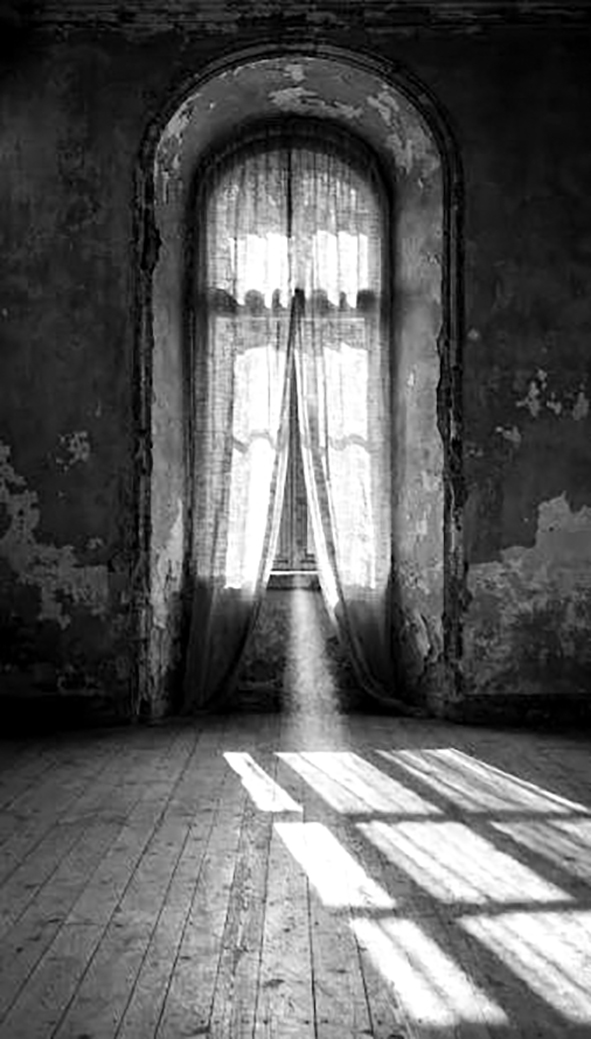 از پی این زخم، جانِ نو رسید