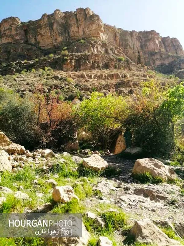 نی ریز زیبا