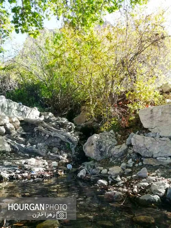 نی ریز زیبا