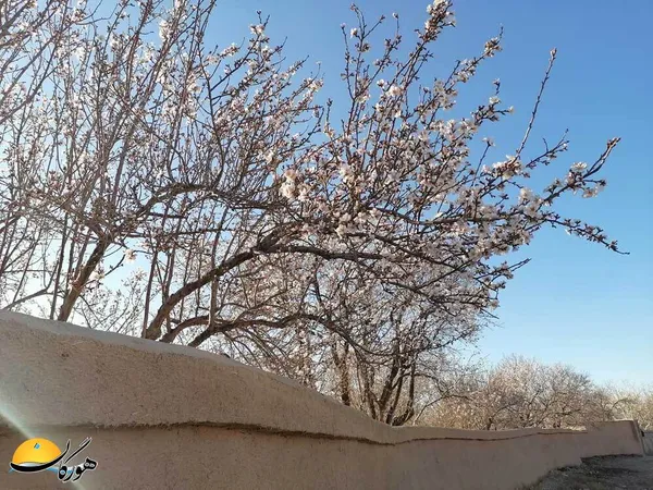 زهرا خازن/ کوچه باغ&zwnj;های نی&zwnj;ریز