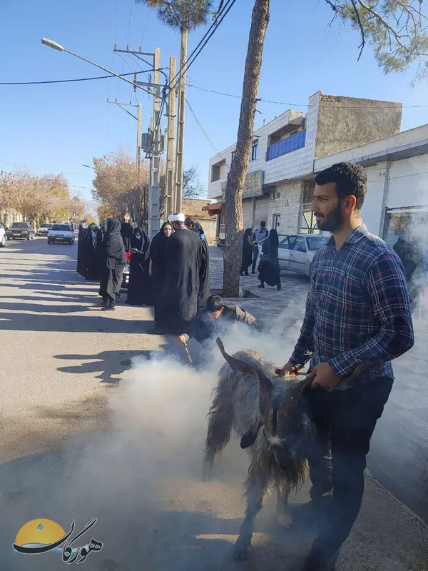 سعیده صحراگرد