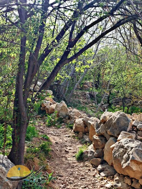 عکس: فتانه قرایی